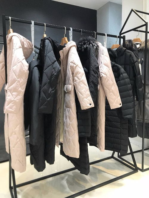 探尋杭州品牌女裝魅力 MG品牌折扣貨源與批發(fā)全攻略